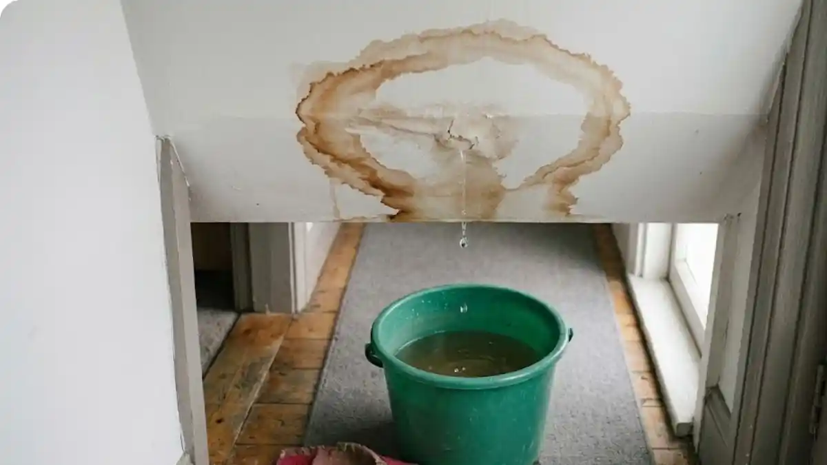 Ceiling Water Damage in a Fairfax Townhouse  -  When the Unit Above Leaks