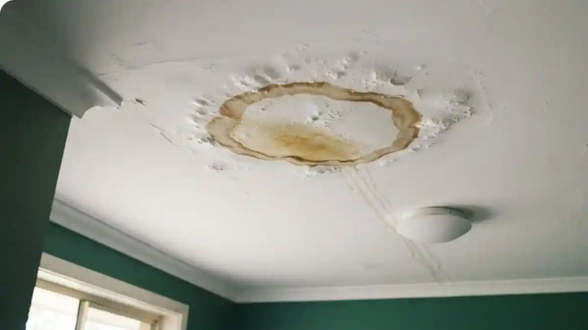 Ceiling Water Damage  -  Fairfax Water Damage Squad technician at work in Fairfax VA